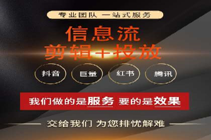 搜索引擎营销（SEM）在移动端的推广案例